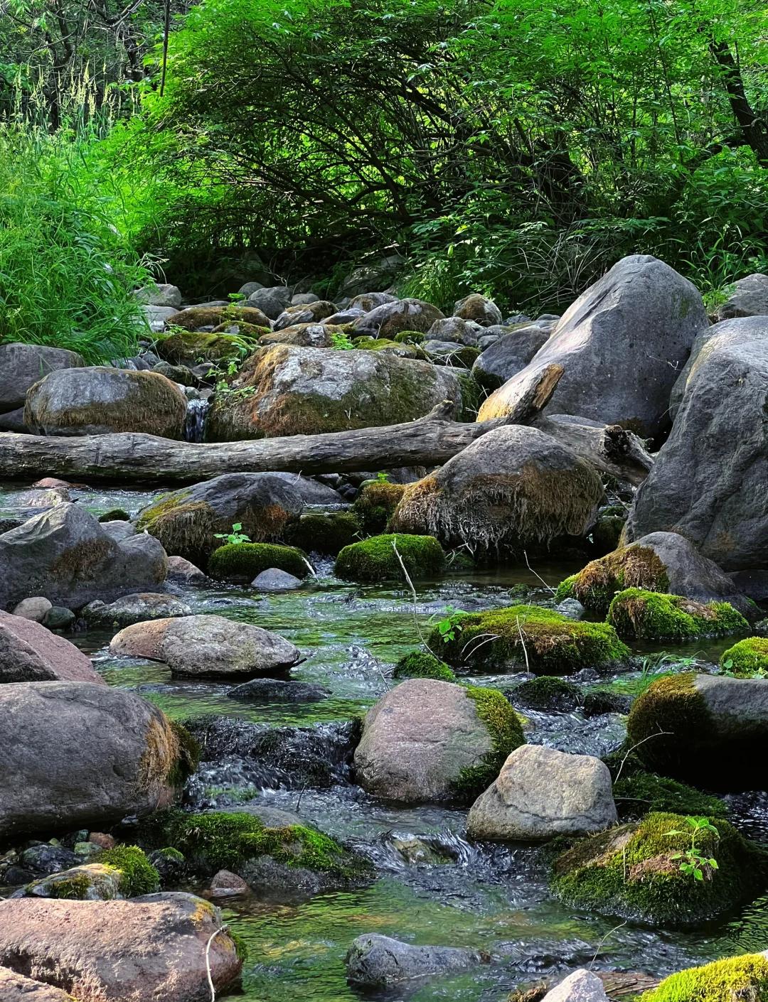 详细阅读:北京玉渡山(北京玉渡山好玩吗) 北京玉渡山(北京玉渡山好玩吗)